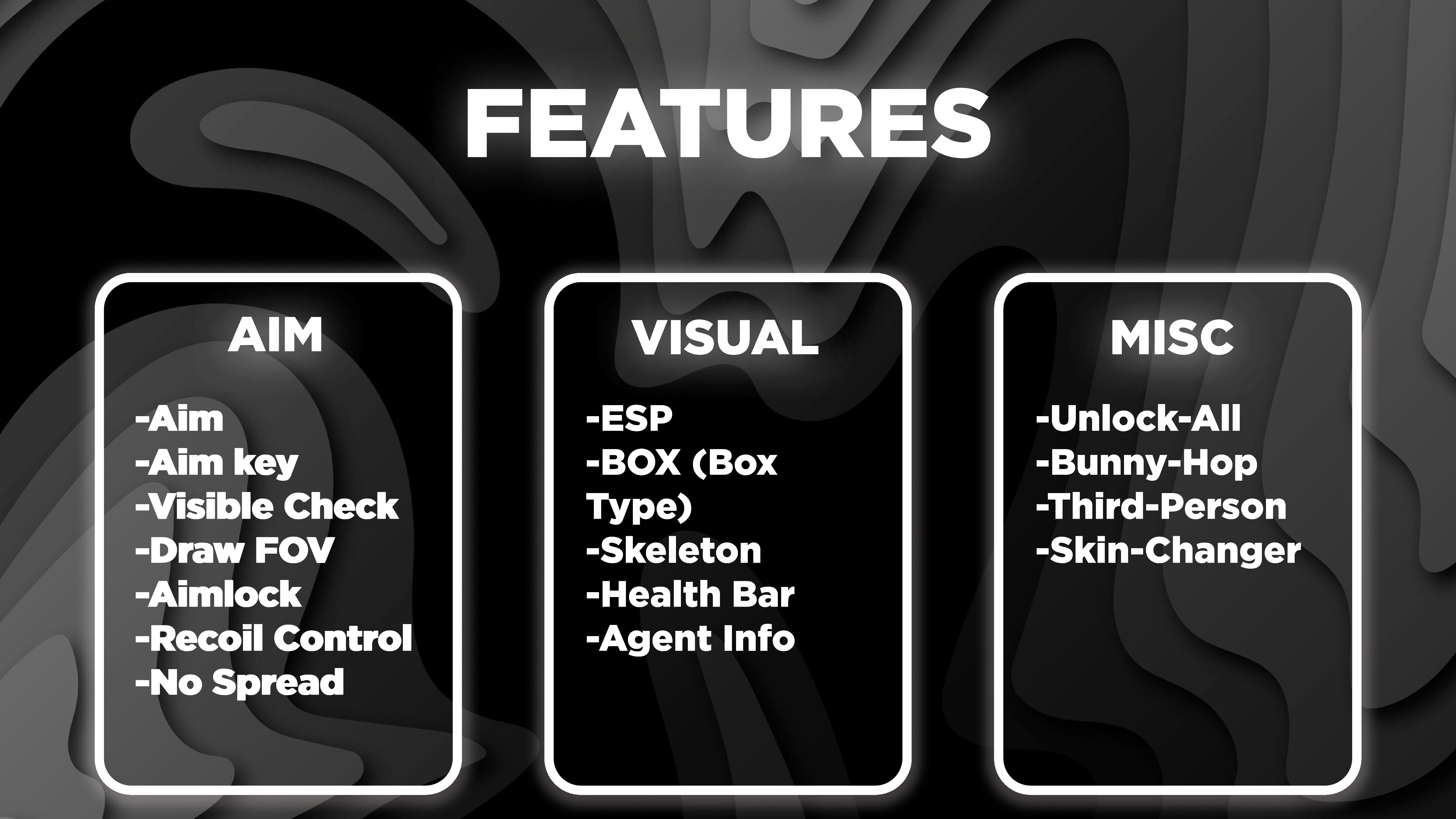 valorant features